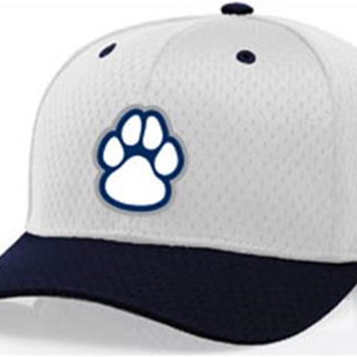 Pittsford Panthers Baseball Richardson Adjustable Baseball Hat