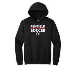 Adult HeavyBlend Hooded Sweatshirt - $42.00